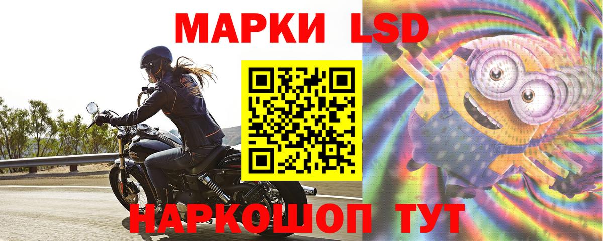 Лсд 25 экстази  blacksprut зеркало  Камышлов  Вход с VPN  ЛСД экстази ecstasy  ЛСД экстази ecstasy 