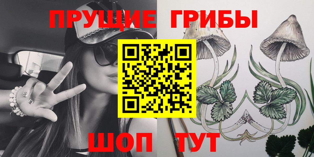 Галлюциногенные грибы GOLDEN TEACHER Камышлов