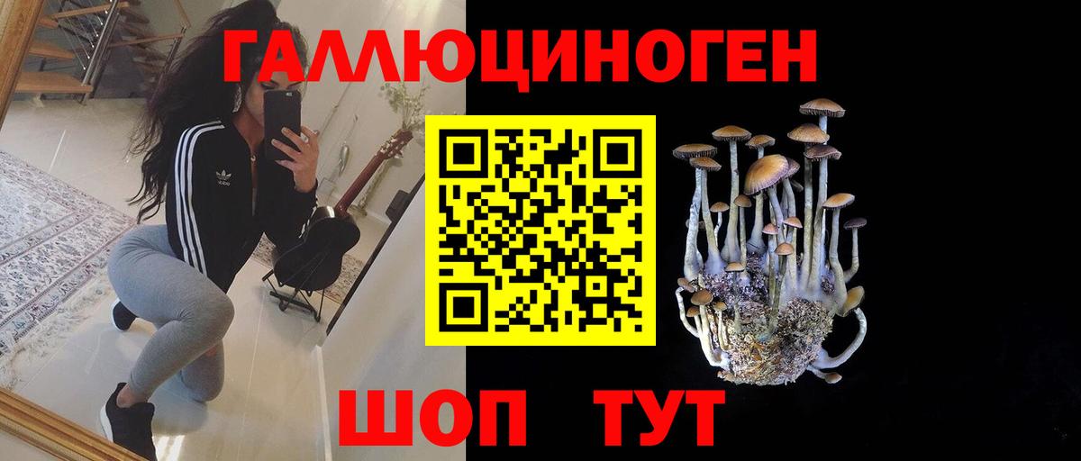 Галлюциногенные грибы Magic Shrooms  Вход с VPN  Камышлов 